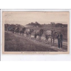 DONVILLE-les-BAINS: la récolte du varech - très bon état