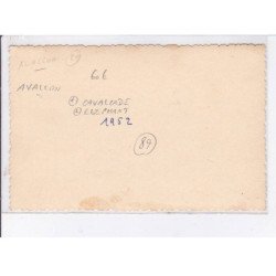 AVALLON: cavalcade éléphant - très bon état