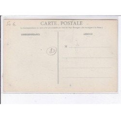 AVALLON: un vigneron d'asquins venant de traiter ses vignes - très bon état