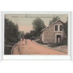 NOISEAU - Lavoir Communal - Route du Moulin d'Ambode - très bon état
