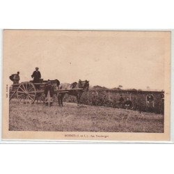 MOSNES : les vendanges - très bon état