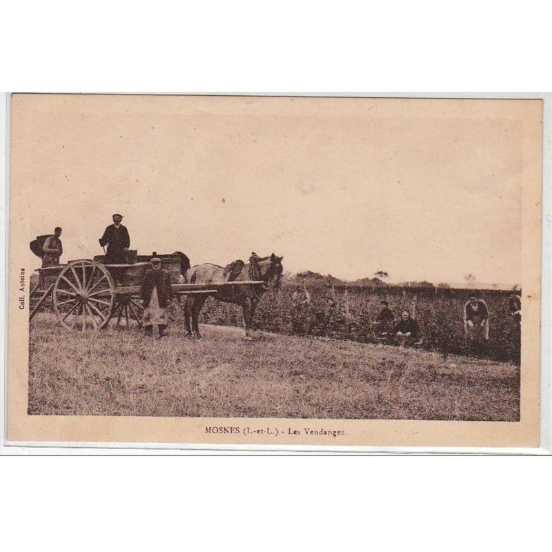 MOSNES : les vendanges - très bon état