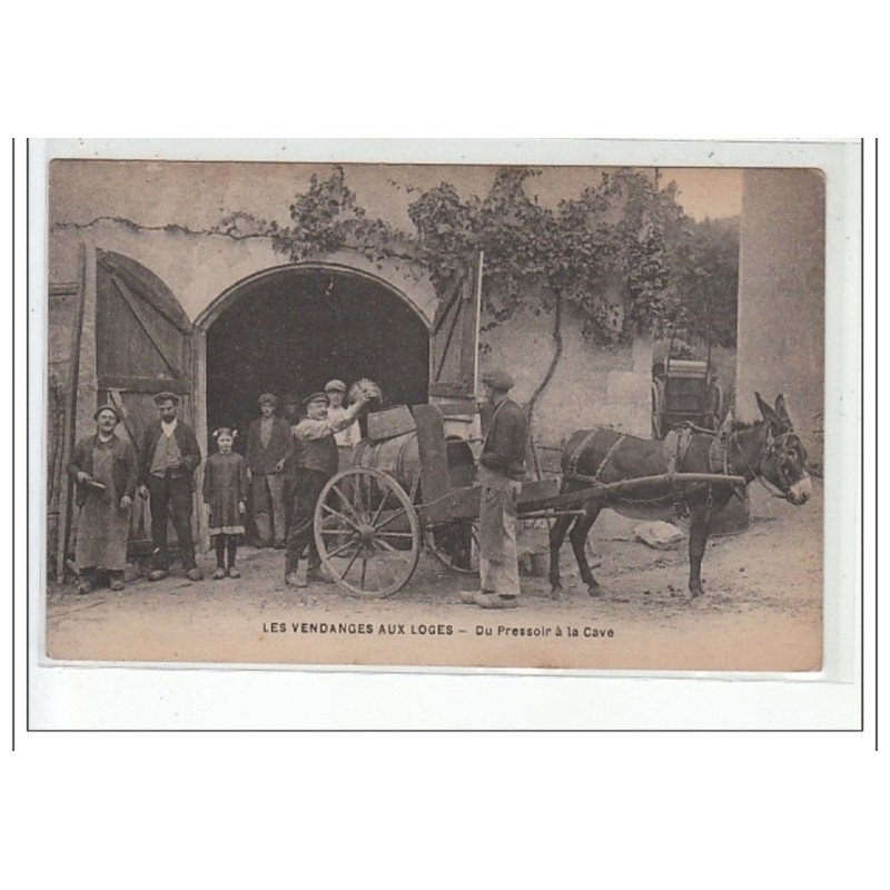 Les Vendanges Aux Loges - Du Pressoir à la Cave - très bon état