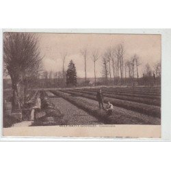 ULLY SAINT GEORGES : une cressonnière - très bon état