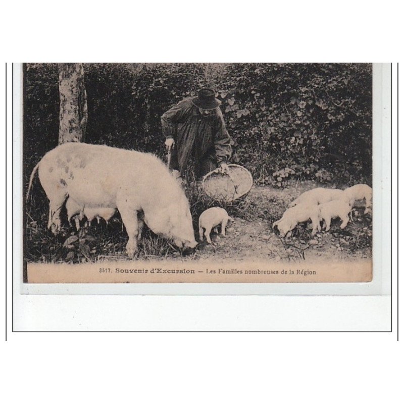 TYPE AUVERGNAT - Souvenir d'excursion - les familles nombreuses de la région - très bon état TYPE AUVERGNAT - Souvenir d'excursion - les familles nombreuses de la région - très bon état