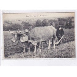 AVEYRON: le laboureur - très bon état