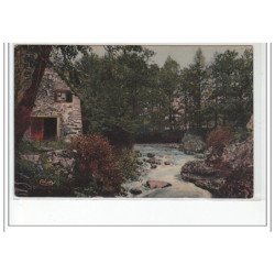 CHAMPS SUR TARENTAINE - La Tarentaine et le Vieux Moulin - très bon état
