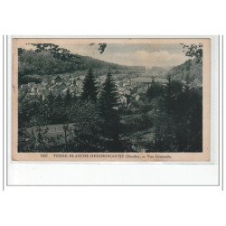 TERRE-BLANCHE -HERIMONCOURT - Vue générale - très bon état