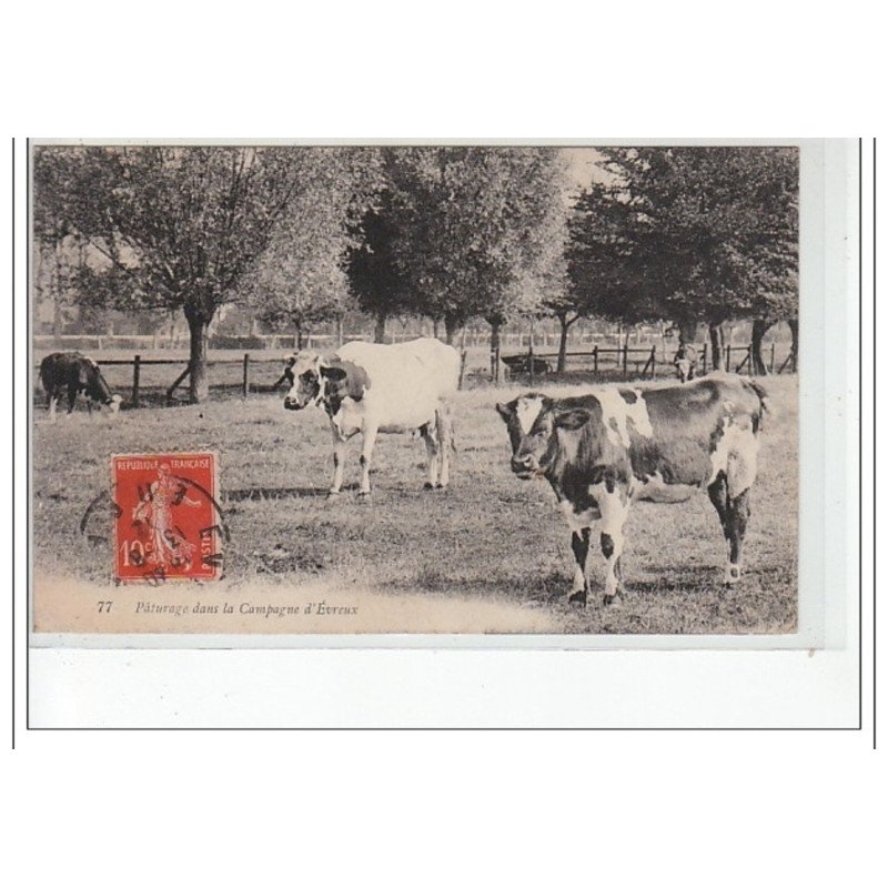 Environs d'EVREUX - Pâturages dans la campagne d'EVREUX - très bon état