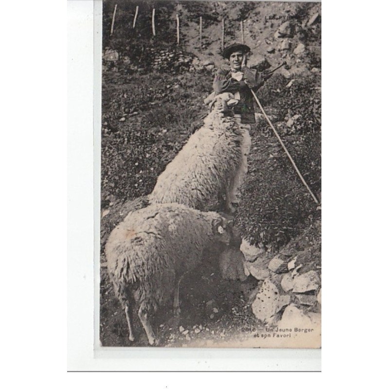 TYPES PYRENEES - Un jeune berger et son favori - très bon état