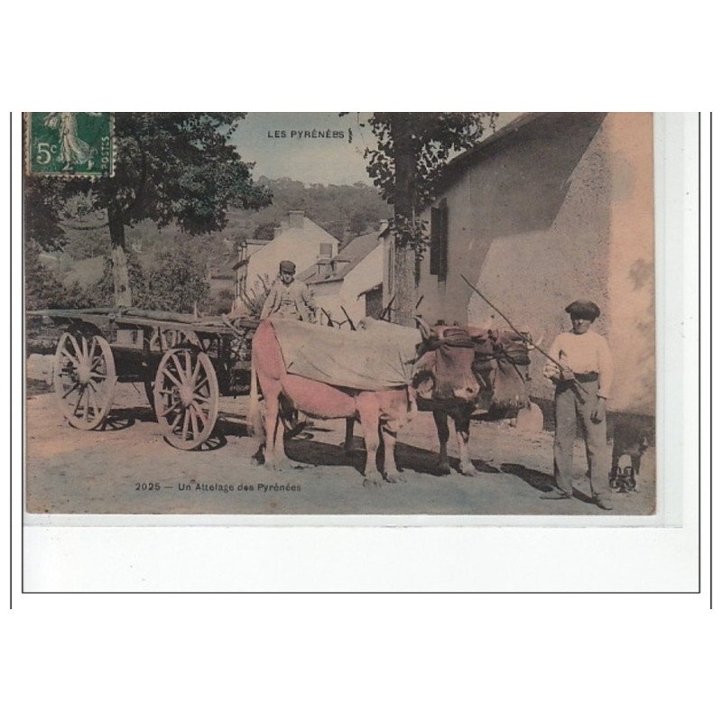 LES PYRENEES - Un attelage des Pyrénées - très bon état