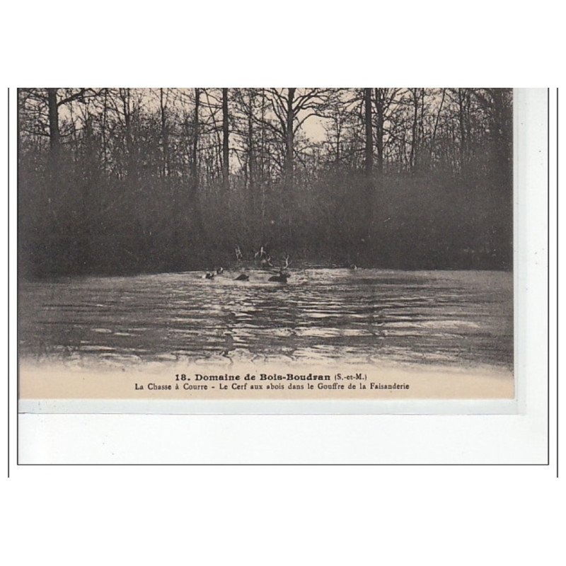 DOMAINE DE BOIS-BOUDRAN - La chasse à courre- le cerf aux abois dans le Gouffre de la Faisanderie - très bon état