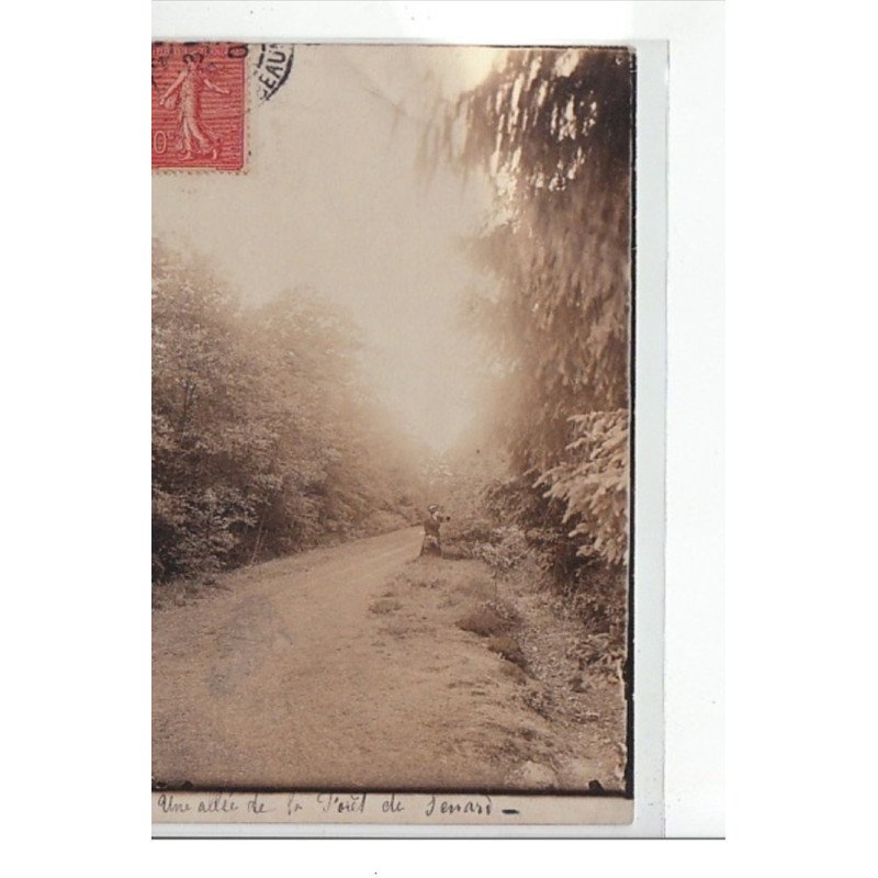 FORET DE SENART -  CARTE PHOTO - très bon état