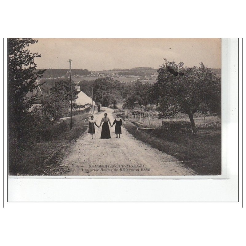 DAMMARTIN SUR TIGEAUX - Vue prise route de Bellevue et Bréal - très bon état