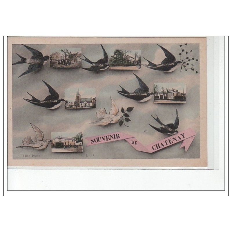 CHATENAY - Souvenir de Chatenay - très bon état
