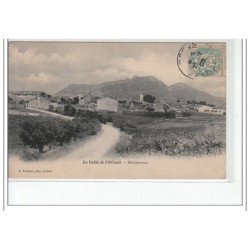 LA VALLEE DE L'HERAULT - Montpeyroux - très bon état