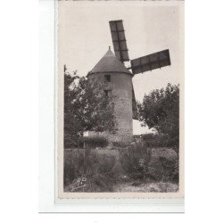 DAMGAN-KERVOYAL - Le Moulin et ses pommiers - très bon état