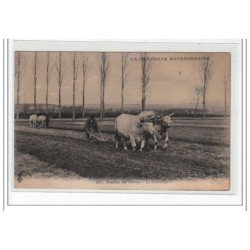 LA CAMPAGNE BOURBONNAISE - Travaux des champs - le labourage - très bon état