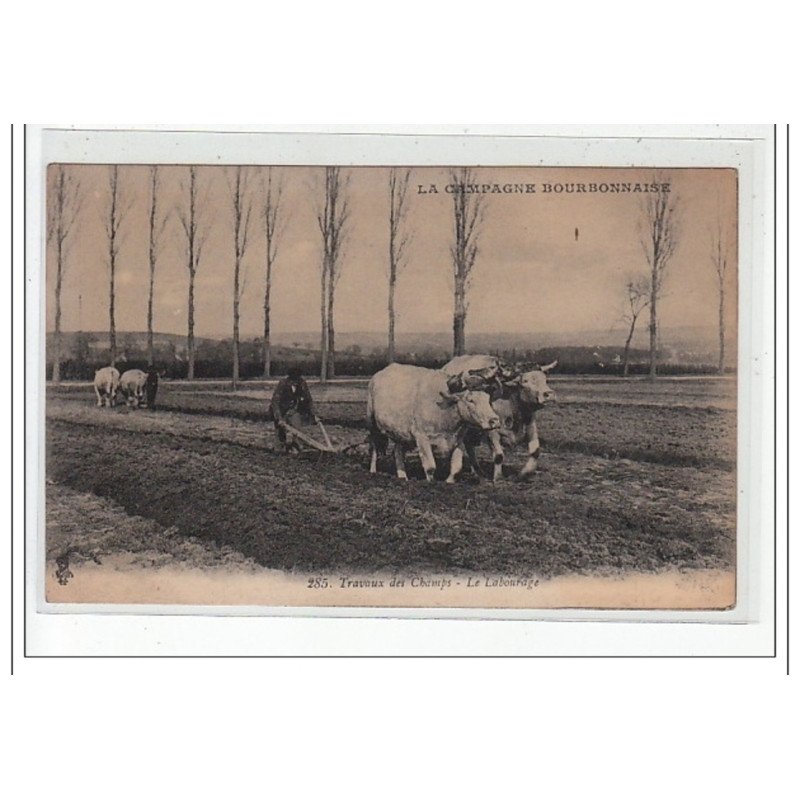 LA CAMPAGNE BOURBONNAISE - Travaux des champs - le labourage - très bon état
