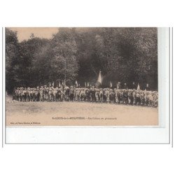 SAINT LOUIS DE LA MULOTIERE - Les colons en promenade - très bon état