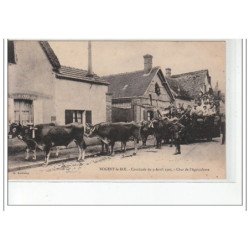 NOGENT LE ROI - Cavalcade du 9 avril 1905 - Char de l'Agriculture - très bon état