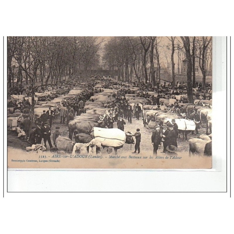 AIRE SUR L'ADOUR - Marché aux Bestiaux et allées de l'Adour - très bon état