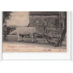 EN NIVERNAIS - Charette trainée par des boeufs - état