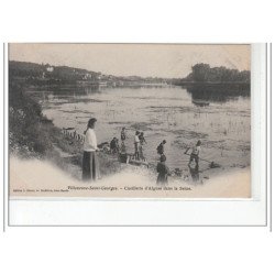 VILLENEUVE SAINT GEORGES - Cueillette d'algues dans la Seine -  très bon état