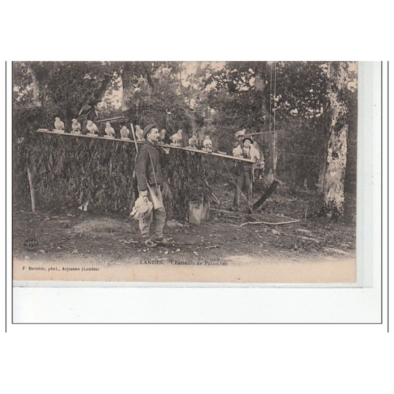 LANDES - Chasseurs de palombes - très bon état