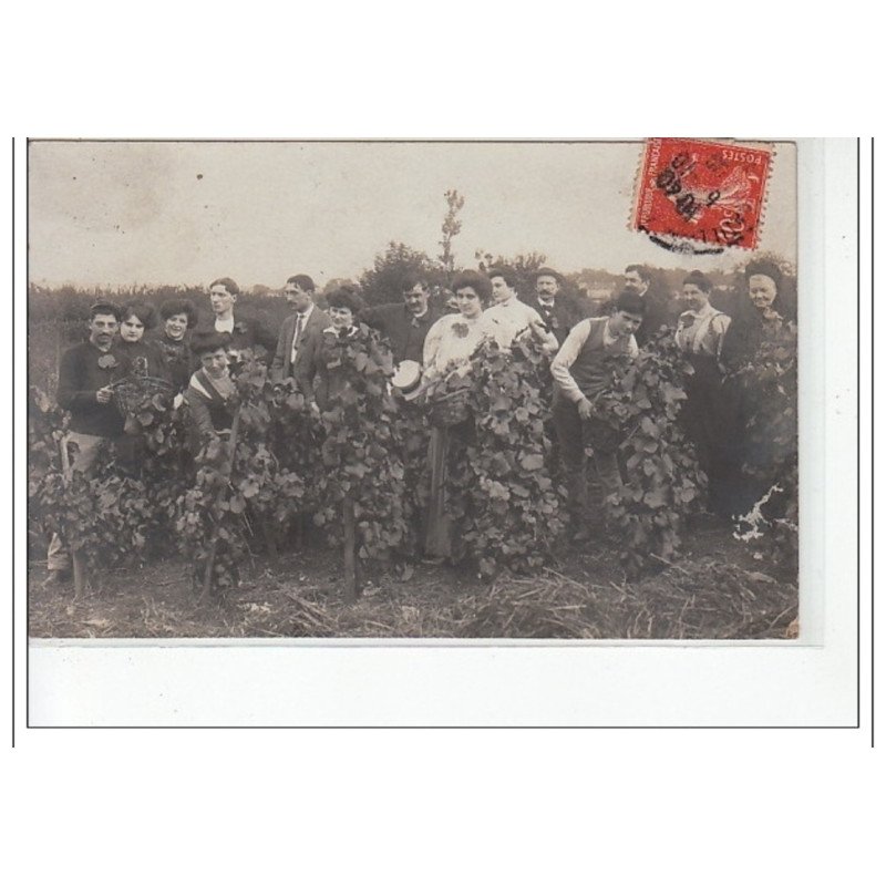 CHATILLON - PAGNEUX - CARTE PHOTO - VENDANGES - très bon état