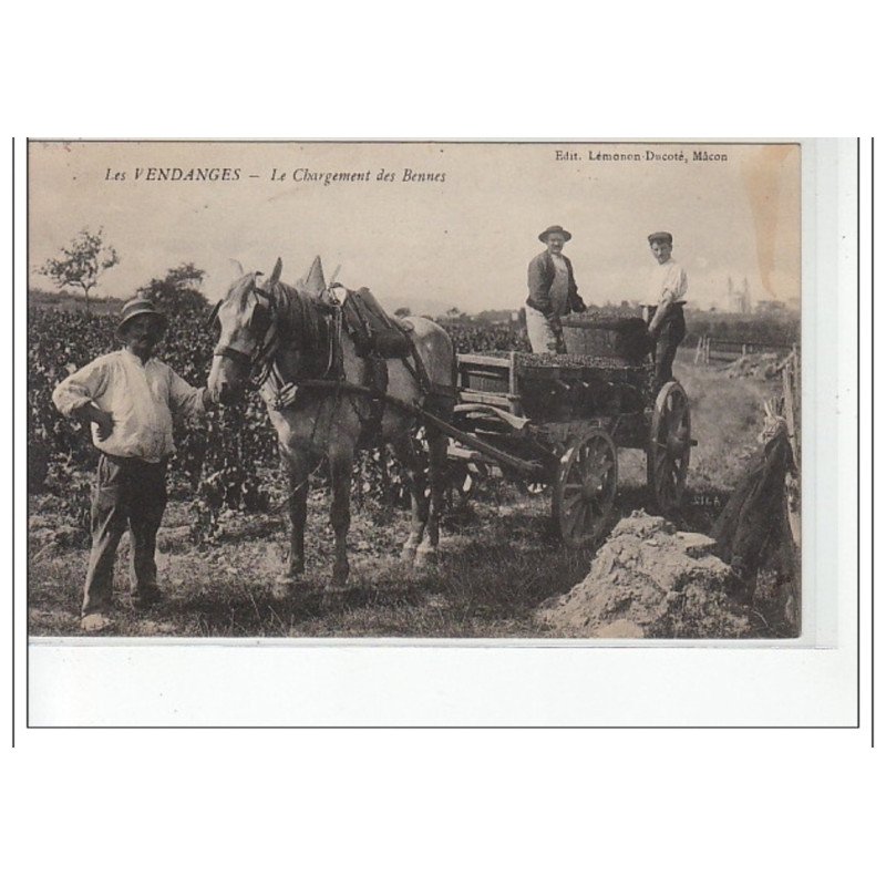 SAONE ET LOIRE -Les vendanges - le chargement des bennes - très bon état
