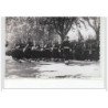 ANTIBES : lot de 8 photos format cartes photos d'un défilé militaire vers 1945 - très bon état