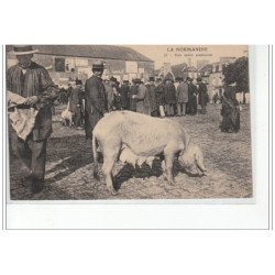 EN NORMANDIE - Une mère cochonne - très bon état