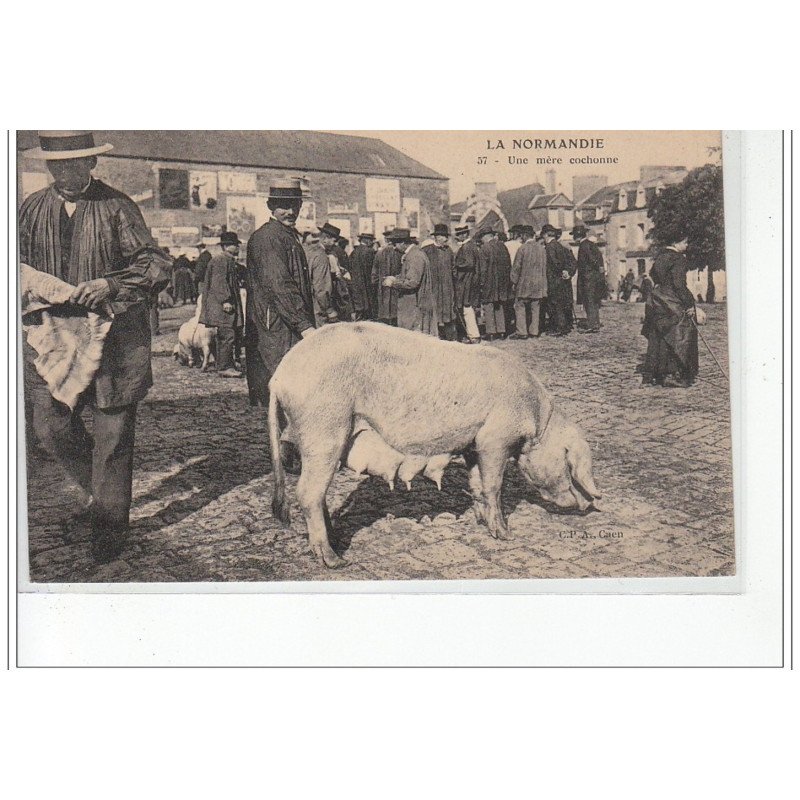 EN NORMANDIE - Une mère cochonne - très bon état