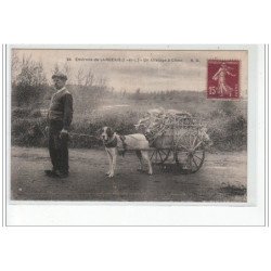 environs de LANGEAIS : un attelage à chien - très bon état