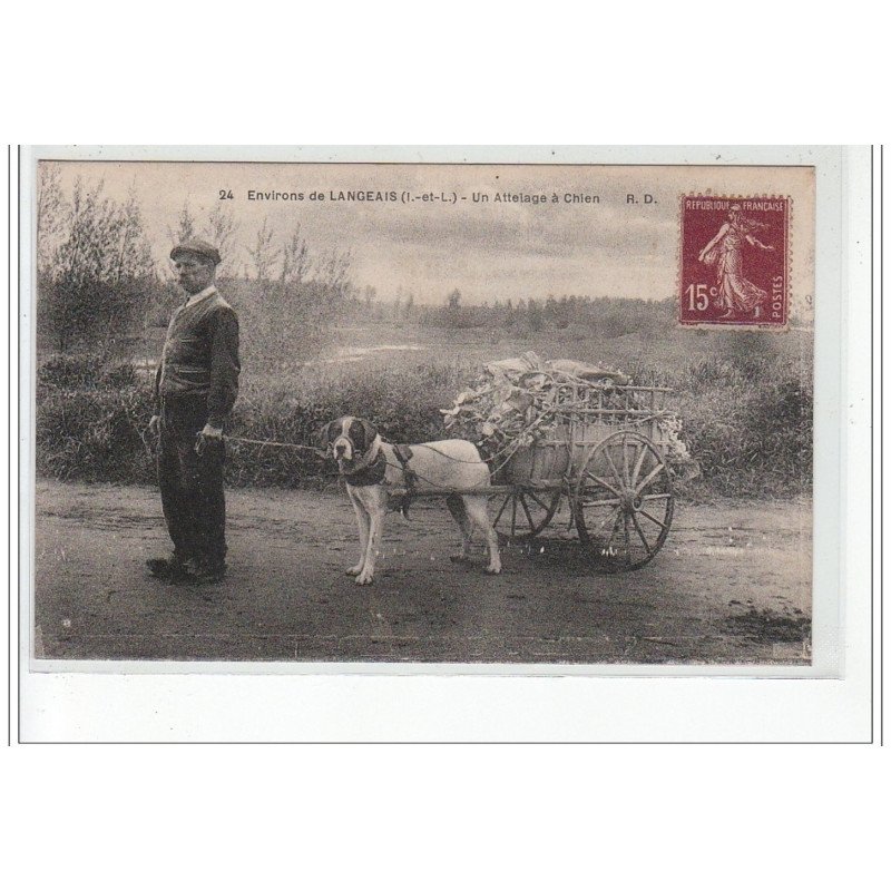 environs de LANGEAIS : un attelage à chien - très bon état