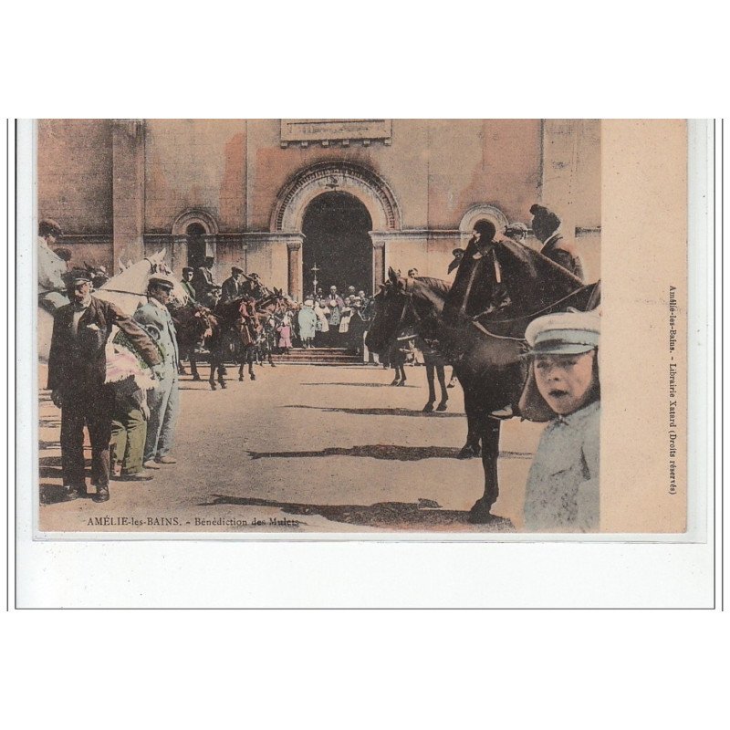 AMELIE LES BAINS : la bénédiction des mulets (en couleur) - très bon état