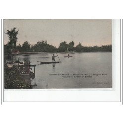 Environs de LONGUE - BRION - Etang des Hayes - vue prise de la Route des Jumelles - très bon état