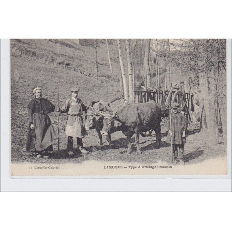 LIMOGES : type d'attelage limousin - très bon état