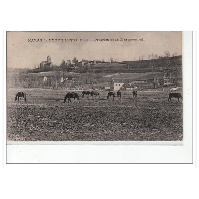 Haras de NEUVILLETTE - Prairies sous Marquemont - très bon état