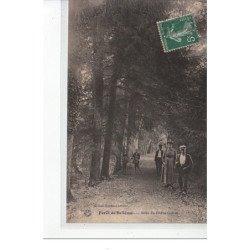 FORET DE BELLEME - Allée du Chêne-Galant - très bon état
