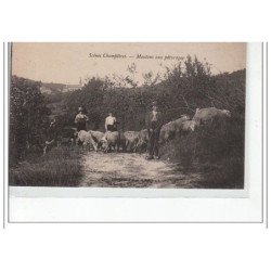 Scènes Champêtres -  Moutons au Pâturage - très bon état