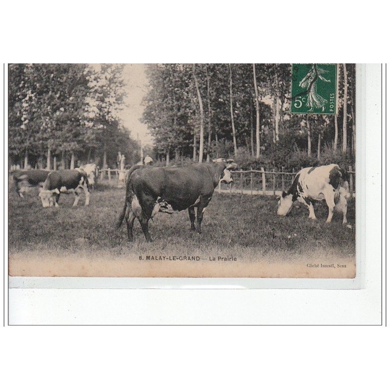 MALAY LE GRAND - La prairie - très bon état