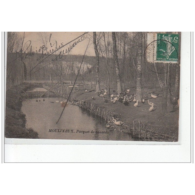MOULINEUX - Parquet de canards - très bon état