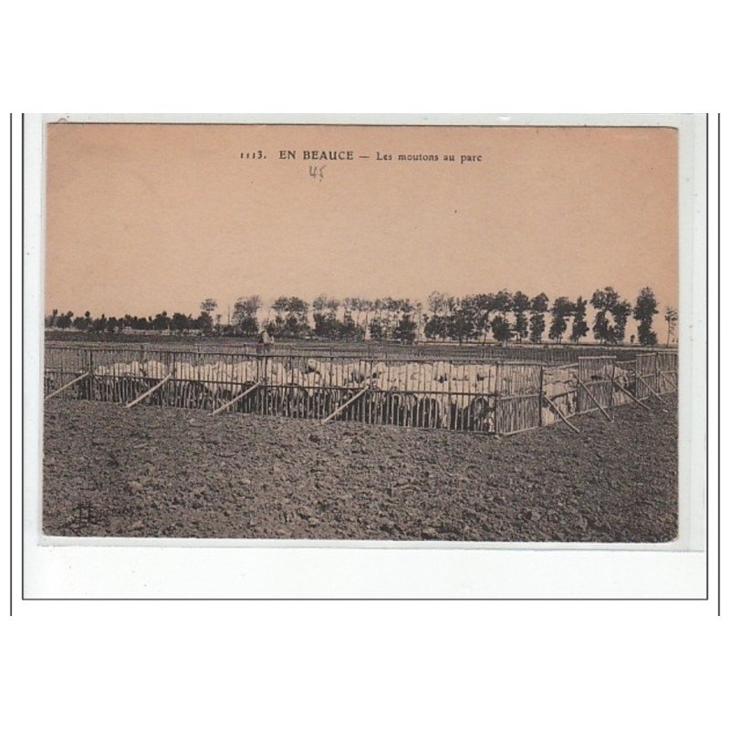 EN BEAUCE - Moutons au parc - très bon état