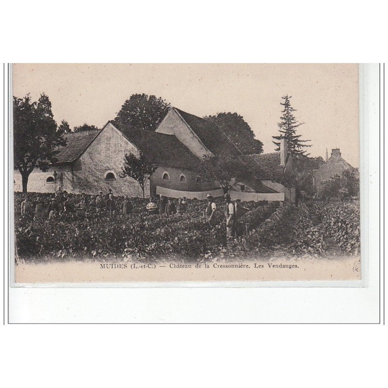 MUIDES - Château de la Cressonnière - les vendanges - très bon état MUIDES - Château de la Cressonnière - les vendanges - très bon état