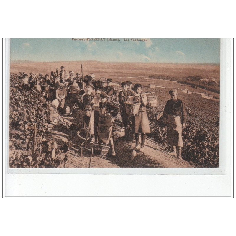 Environs d'EPERNAY - Les Vendanges - très bon état