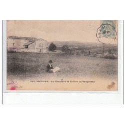 BRINDAS - Le Chazotier et colline de Vaugneray - très bon état