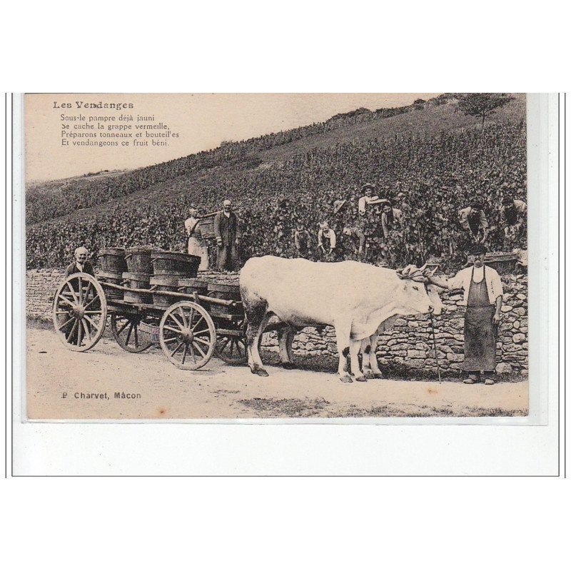 SAONE ET LOIRE - Les Vendanges - très bon état
