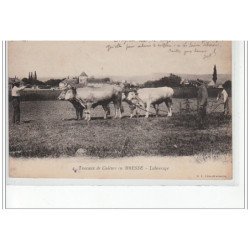 Travaux de Culture en BRESSE - Labourage - très bon état